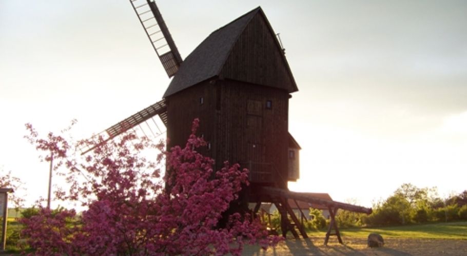 Bockwindmühle "Fiehn" - Authausen