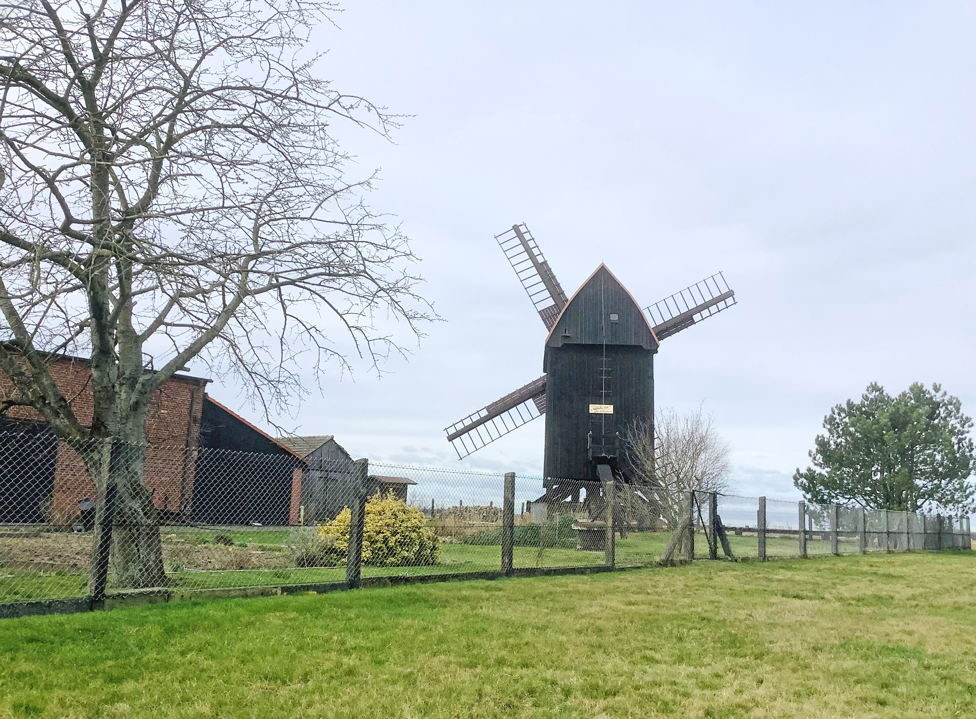 Bockwindmühle "Sommerfeld" - Bad Düben, Tiefensee